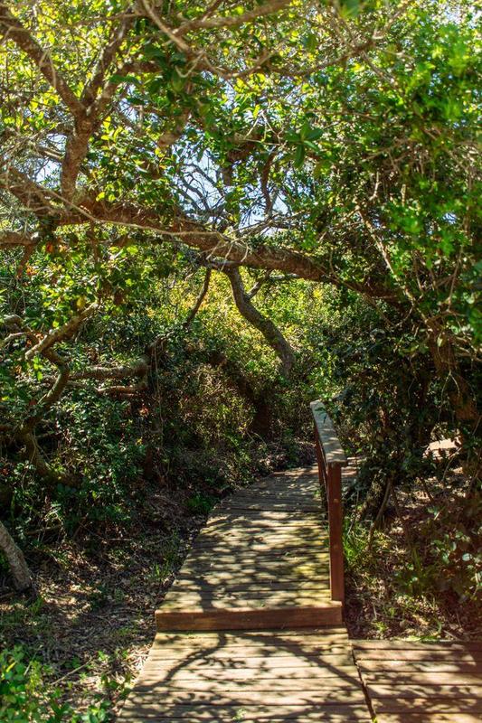 0 Bedroom Property for Sale in Moquini Western Cape